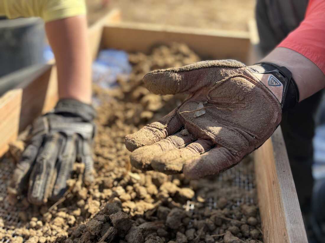 A member of a Defense POW/MIA Accounting Agency team holds an object found in the ground as a colleague sifts dirt through a screen, in Sam Neua, Laos, Jan. 25.