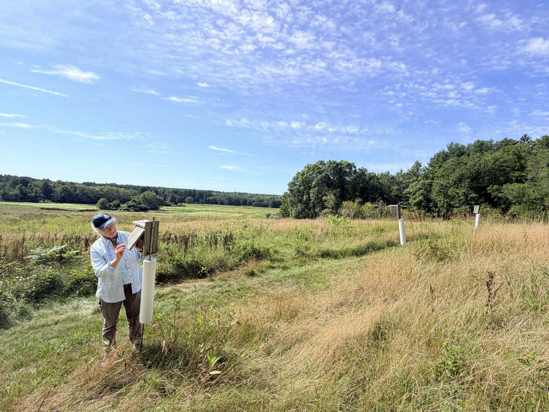 Pam Sowizral is one of the legions of birders and conservationists across the country who are already on the ground collecting data about birds when smoke happens to blow in.