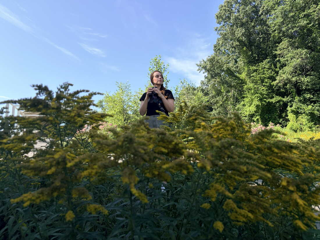 Olivia Sanderfoot of Cornell University is trying to understand how the smoke billowing off of wildfires is bothering birds — and what can be done to prevent that harm.