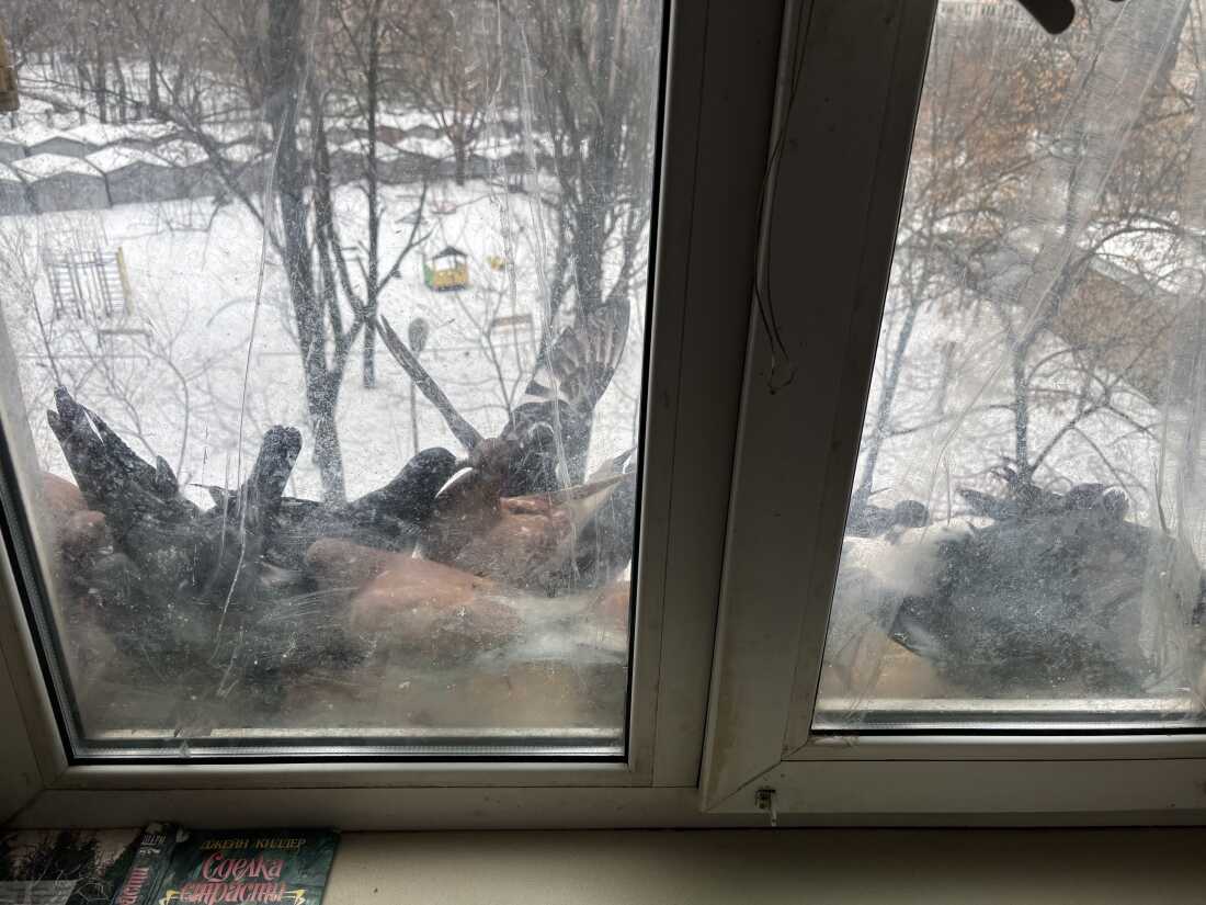 Photographed from indoors through a closed window, multiple pigeons perch on the windowsill outside the window. Behind them is a snowy scene with leafless trees.