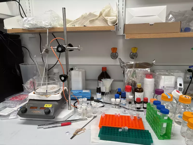 One bench in Rachael Sirianni's lab is still full of equipment — reagent bottles and pipettes. She had to lay off the researcher who was working here. “I can’t bring myself to clear his bench,” she says. “It makes me sad.”