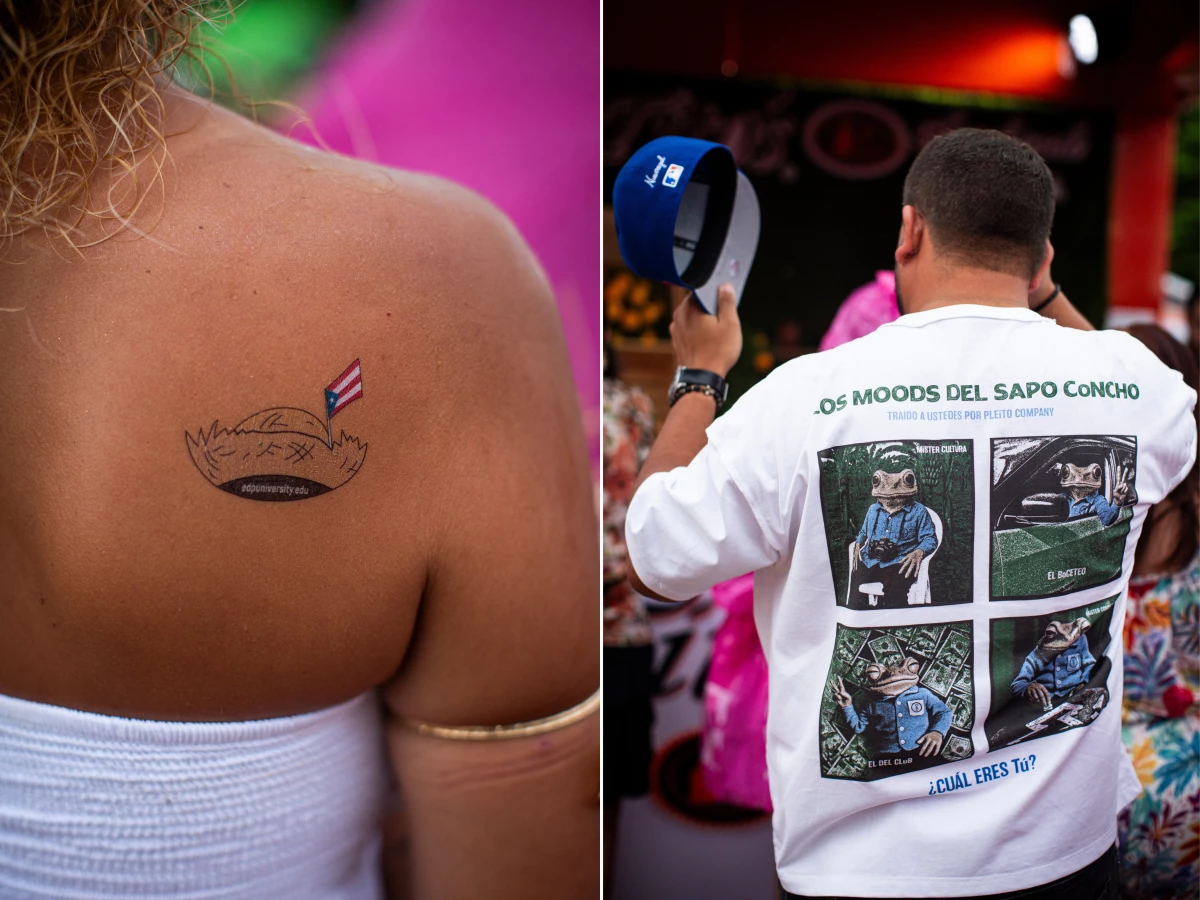 The 'pava,' left, and the 'sapo concho', an endangered native frog that has emerged as another symbol of Puerto Rican pride thanks to Bad Bunny's embrace of it.