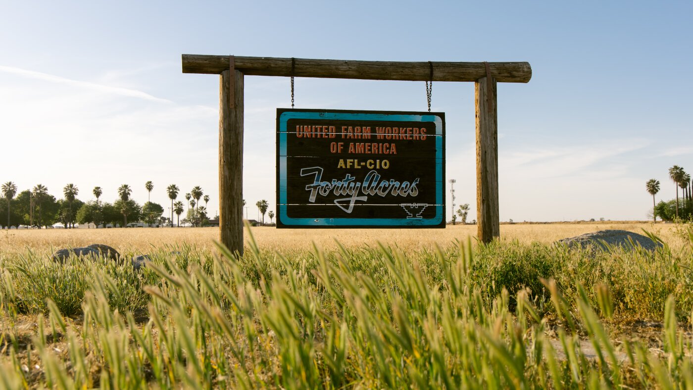 وفي بلدة قريبة من حركة العمال الزراعيين، يكافح البعض للتعامل مع مزاعم شافيز