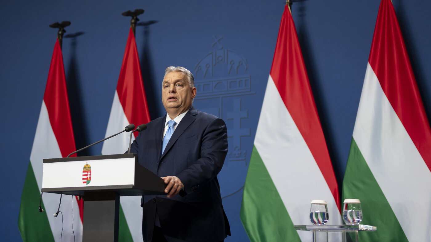 Former U.S. ambassador to Hungary discusses democratic decay under Viktor Orbán