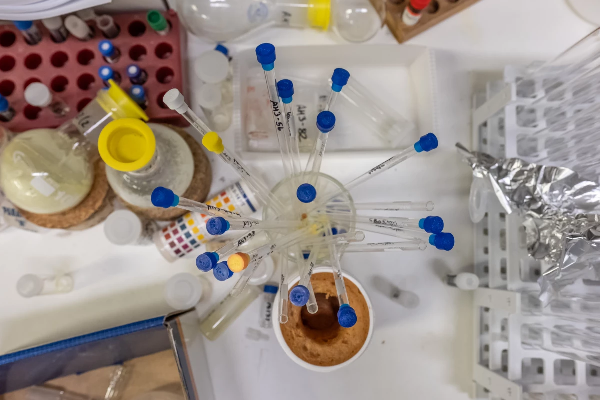 The H3D Centre is filled with fume hoods, flasks, bottles of reagents, and all manner of machines that are used to find new medicines to combat malaria, tuberculosis and antimicrobial resistance.
