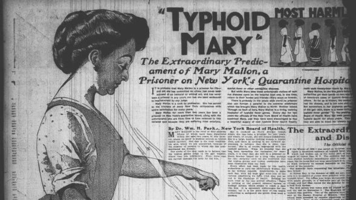 An article on Mary Mallon where she was infamously labeled 'Typhoid Mary.' She was the first healthy person identified as a carrier of typhoid fever in the United States.