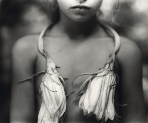 Night Blooming Cereus, a 1988 photo by Sally Mann.