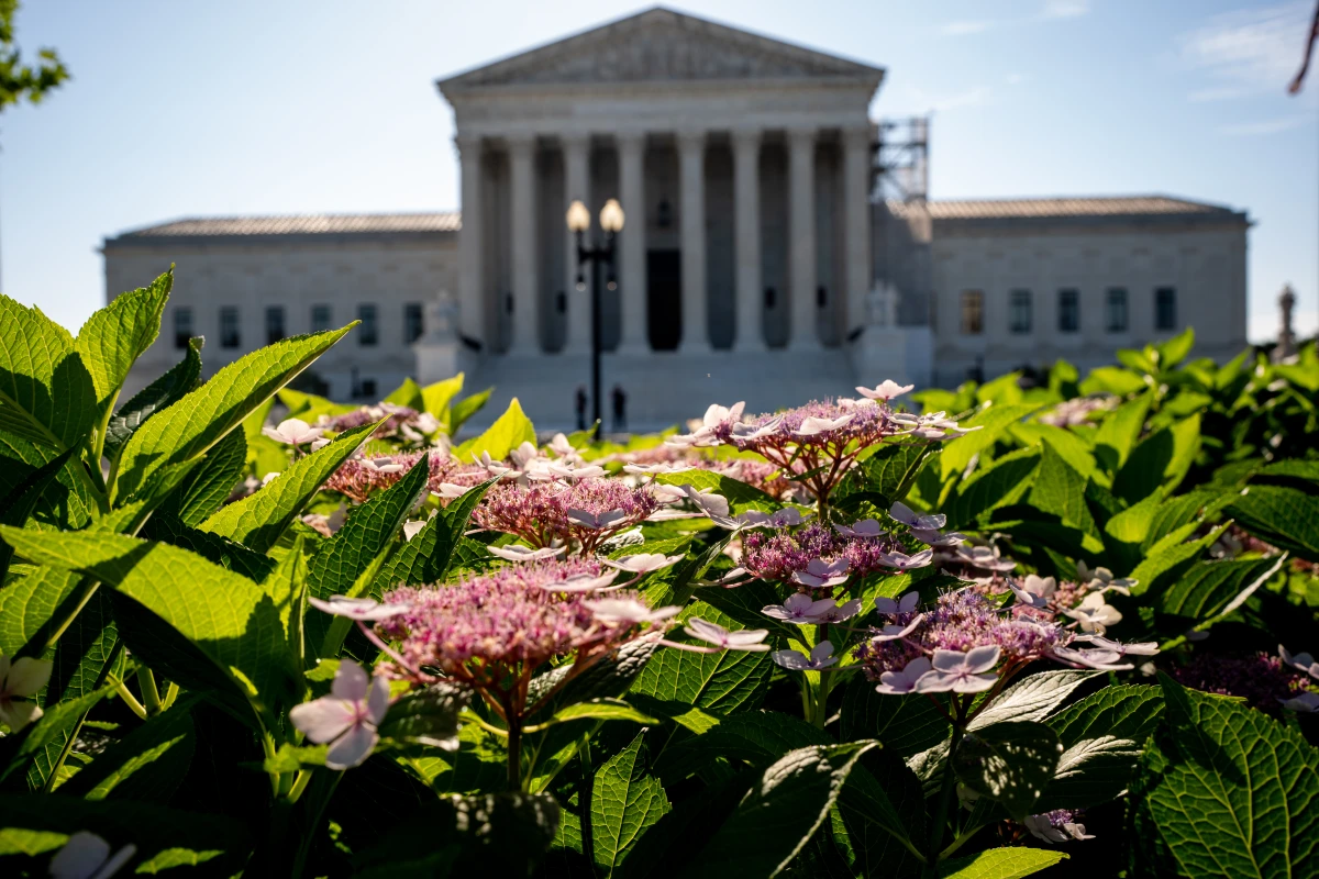 The Supreme Court
