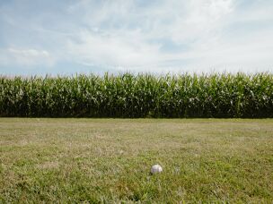 A stray ball lands near Springfield's corn fields during preseason practice on Thursday, July 30.