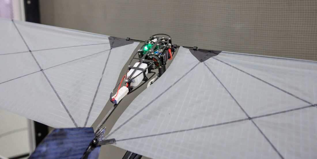The robot's open body design keeps it neutrally buoyant in water, meaning it won’t float to the surface or sink to the bottom. It just stays put in the water.