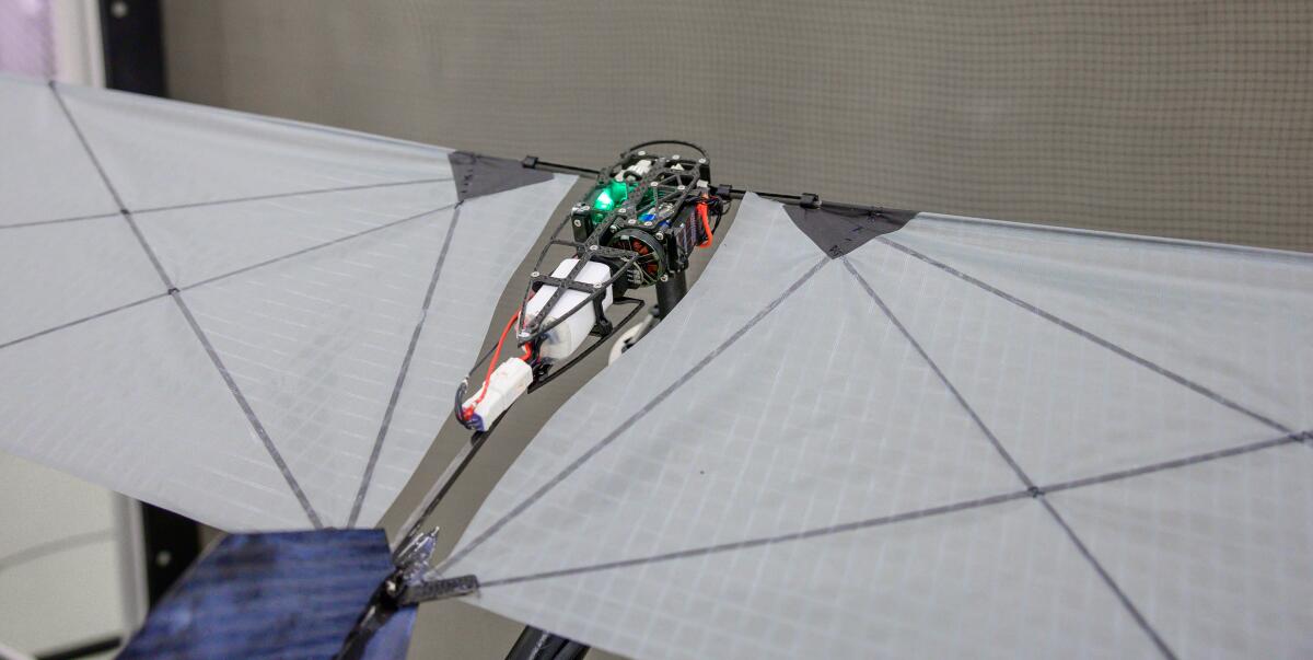 The robot's open body design keeps it neutrally buoyant in water, meaning it won't float to the surface or sink to the bottom. It just stays put in the water.