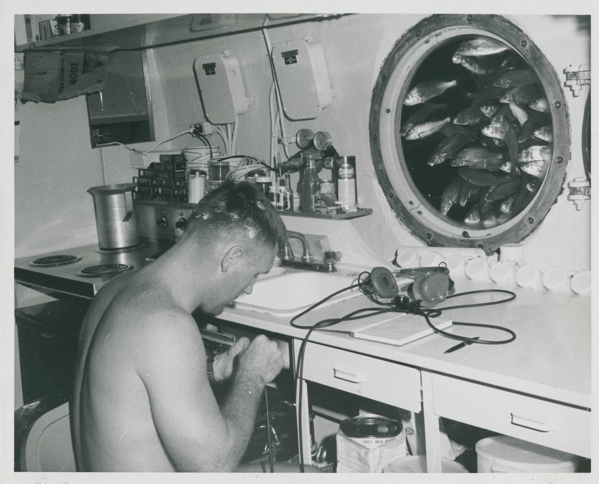 Aquanaut Berry Cannon works inside the Sealab II habitat as a school of fish cluster outside a viewport.