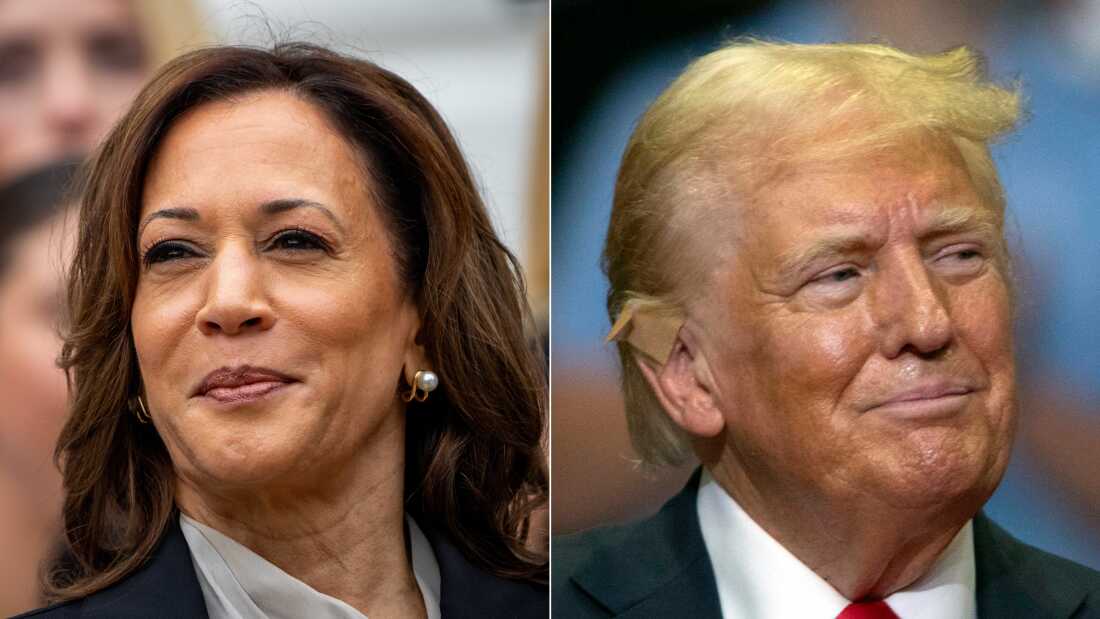 Left: U.S. Vice President Harris arrives for an NCAA championship teams celebration on the South Lawn of the White House on July 22 in Washington, D.C. Right: Republican presidential nominee former President Donald J. Trump holds a rally at the Van Andel Arena on July 20 in Grand Rapids, Mich., Bill Pugliano/Getty Images)