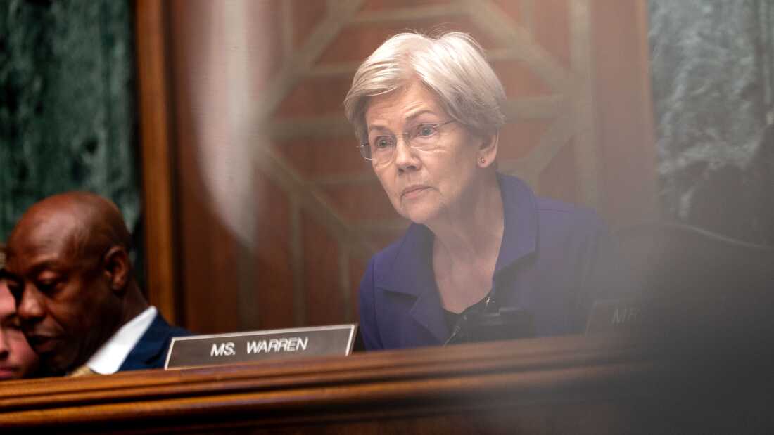 Ranking member Sen. Elizabeth Warren (D-MA) before the Senate Committee on Banking, Housing, and Urban Affairs during a hearing on Capitol Hill in Washington, D.C.