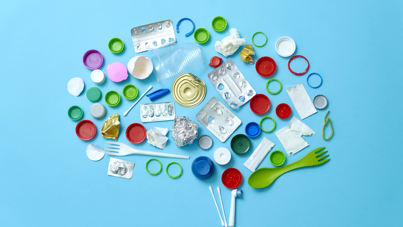 The brain appears to rely on synchronized waves to wash out waste products, including toxins associated with Alzheimer's disease. The brain appears to rely on synchronized waves to wash out waste products, including toxins associated with Alzheimer's disease.