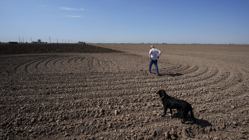 Farmer Larry Cox walks in a plowed field with his dog, Brodie, in 2022, near Brawley, Calif. 
