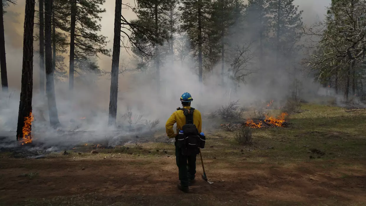 New burn bans and Trump's battle with immigration and DEI are impacting forest fires