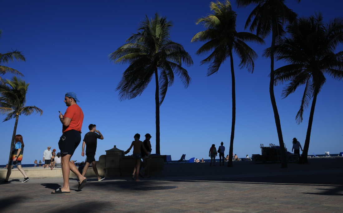 People walk in a paved area near the beach in Hollywood, Florida, on February 10. Palm trees rise up against a blue sky.