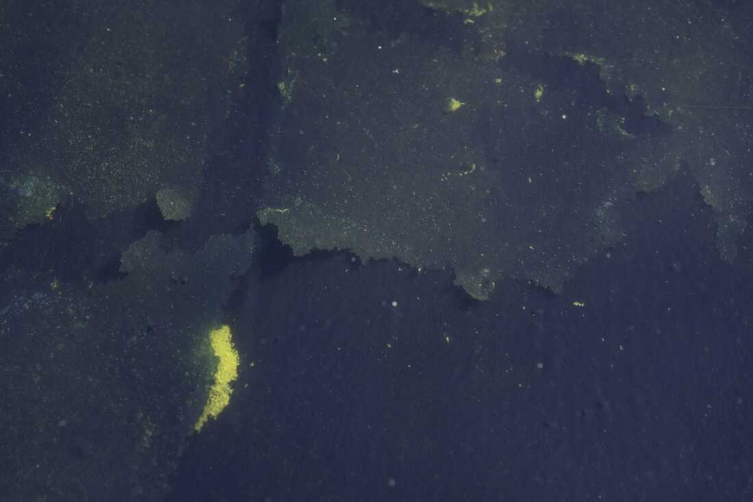 Pieces of blue paint could be seen peeling off from the bottom of the pool on June 20, just days after it was refilled.