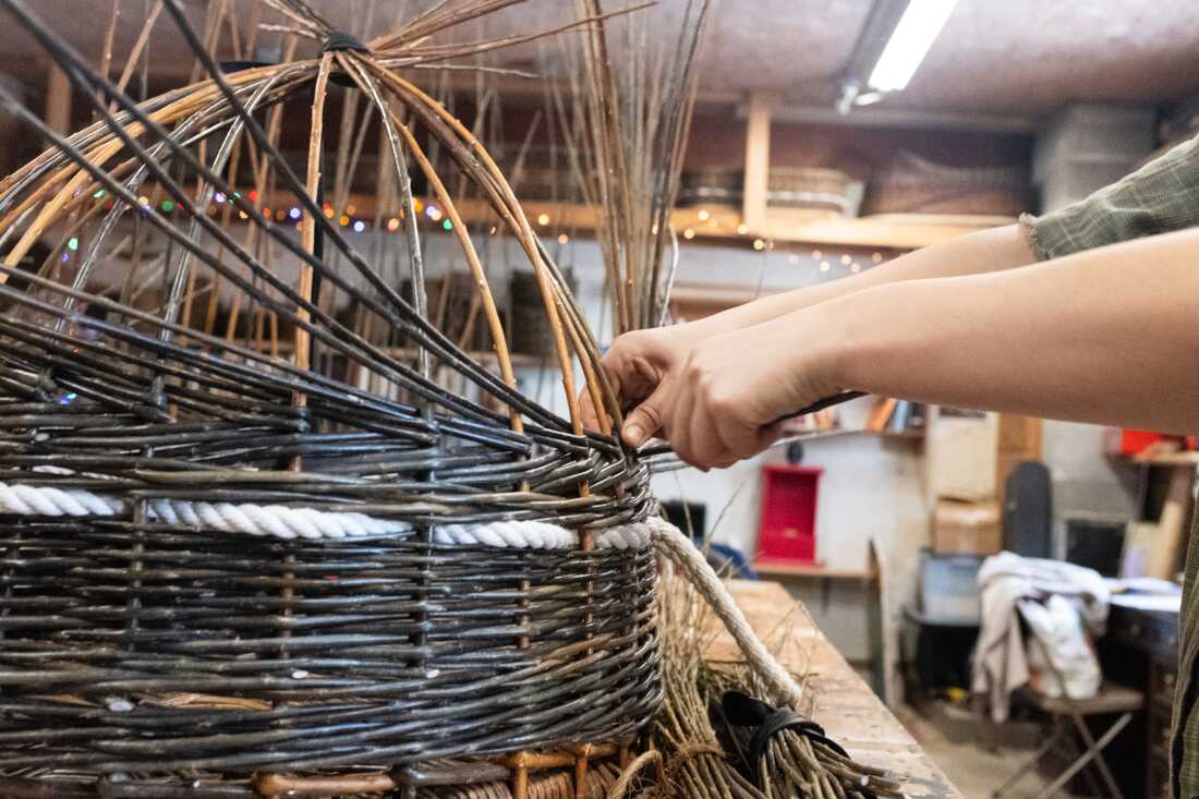 Mary Lauren Fraser, söğüt ağacını tepsinin üzerinde bir başlık haline getirmek için çekiştiriyor.
