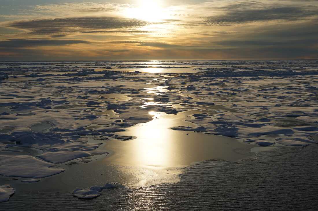 The maximum sea ice extent observed in March 2025 was the lowest in 47 years of satellite records. This photo shows sea ice in the Chukchi Sea.