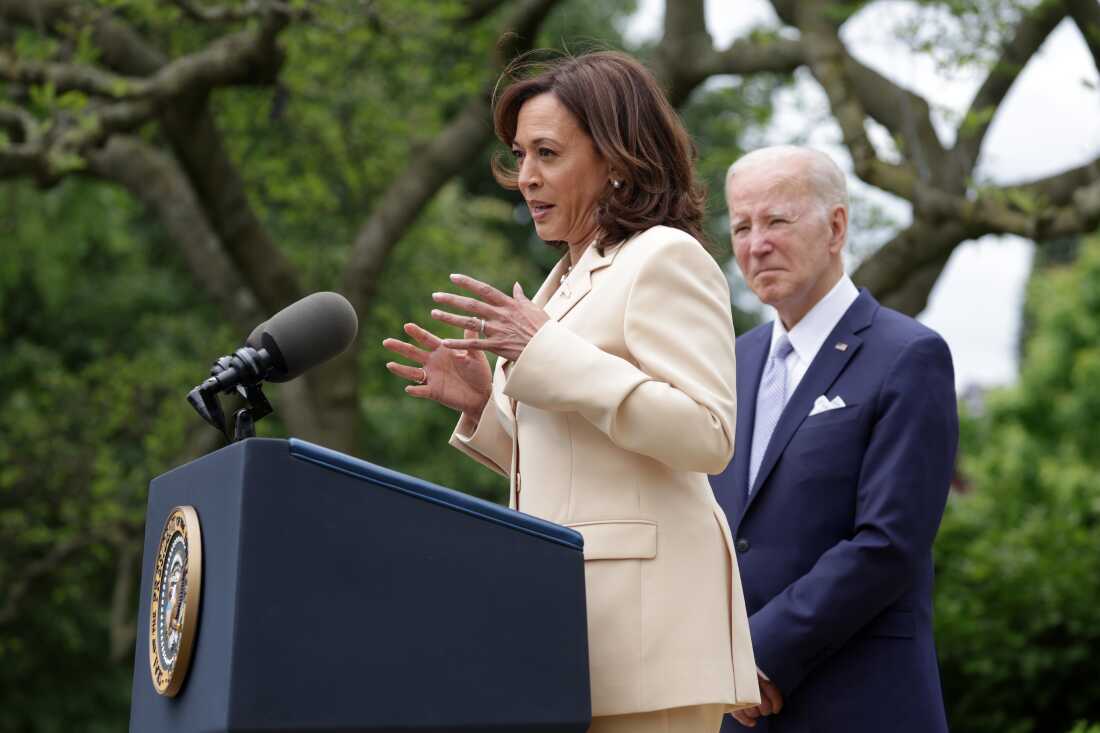 Why Can't The President Fire The Vice President