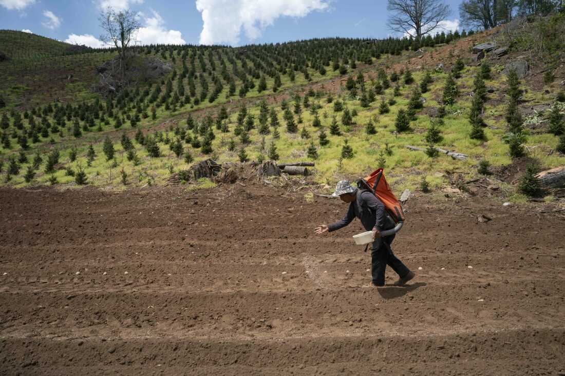 How a fertilizer shortage caused by the Iran war could affect U.S. food prices How a fertilizer shortage caused by the Iran war could affect U.S. food prices