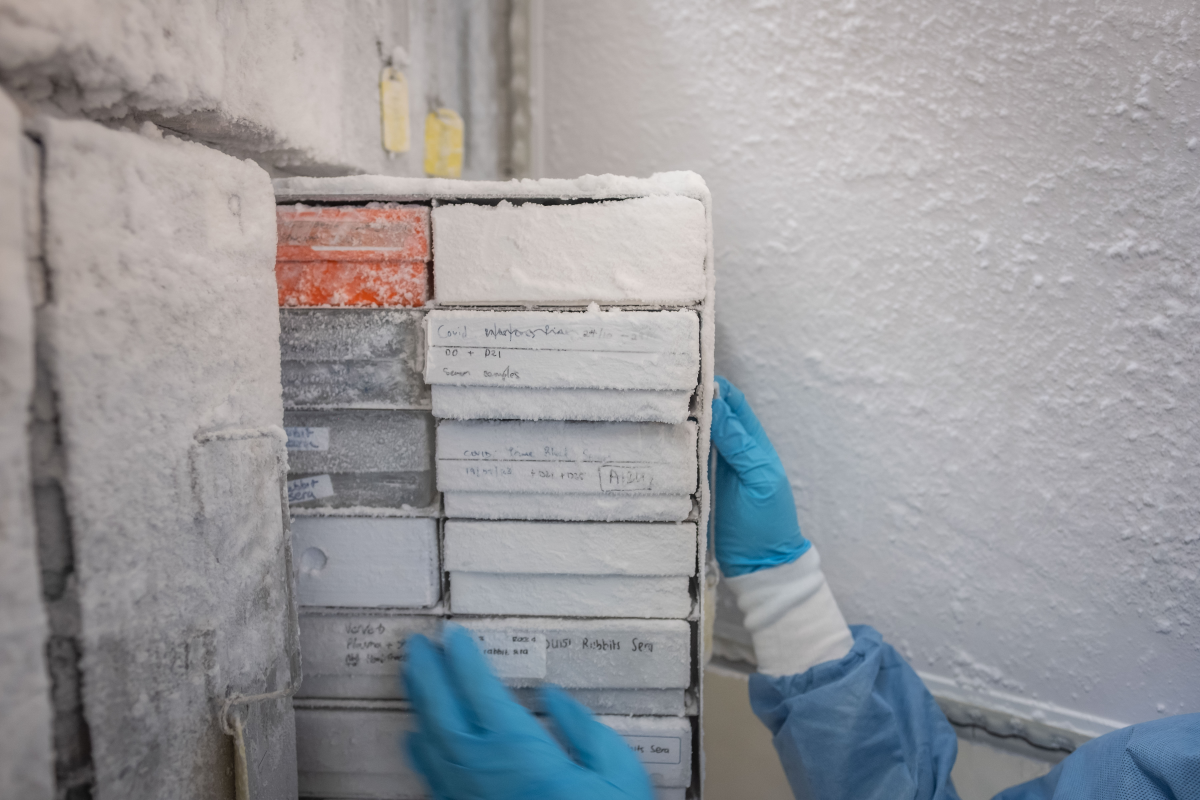 In Johannesburg, samples of viral DNA, used to study HIV, are stored in freezers to preserve them.