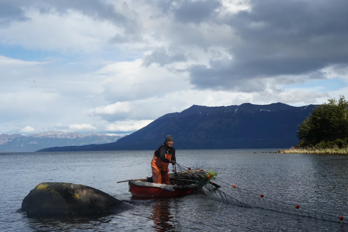 Reinaldo Caro hauls in his nets with a catch of sea bass in the Almirante Montt Gulf.