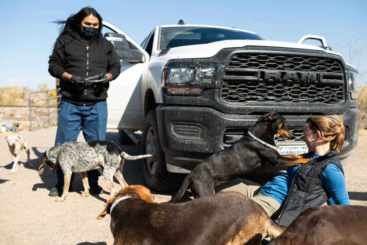 San Carlos Animal Control specialist Timothy Nozie and entomologist Maureen Brophy are greeted by a dog after putting a tick collar on him on Dec. 6, 2024, on the San Carlos Apache Nation. As part of an effort to reduce tick-borne illnesses, Brophy and her CDC colleagues are teaming up with local animal control to tackle the tick population.