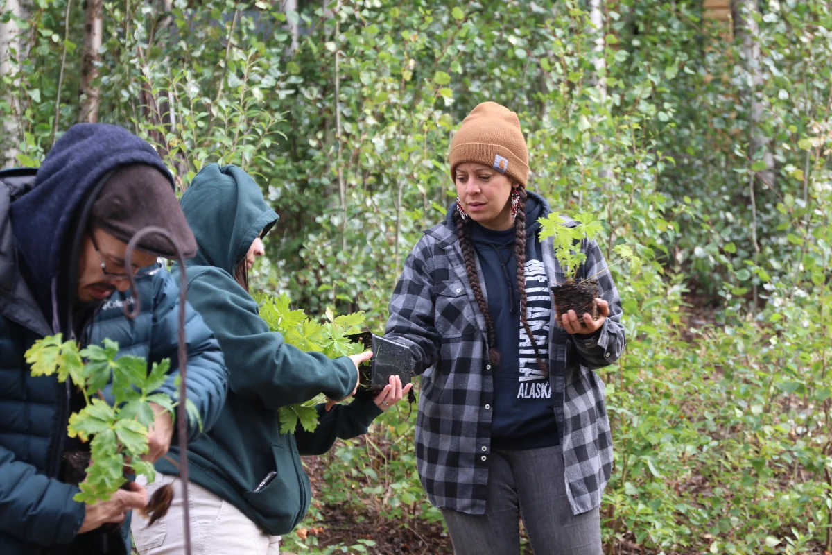 Mikkiah Goessel and Gatgyeda Haayk (right) prepare to transplant seedlings at Calypso Farm and Ecology Center. They’re instructors for the farm’s Indigenous farmer training program.