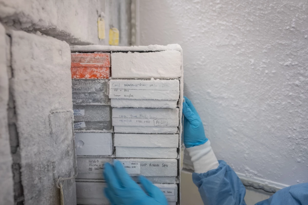 In Johannesburg, samples of viral DNA, used to study HIV, are stored in freezers to preserve them.