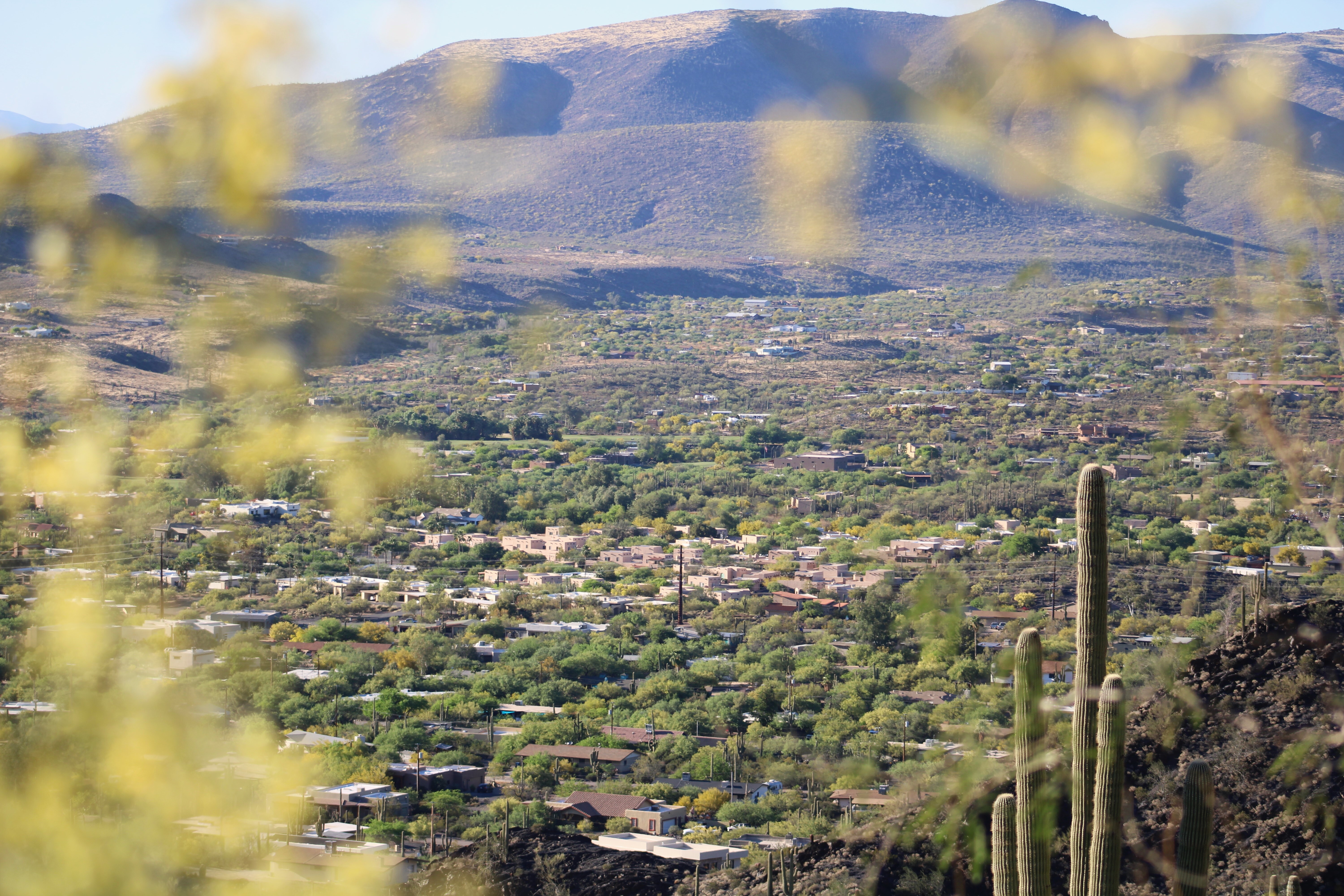 How the city with the most to lose in the Colorado River crisis is 