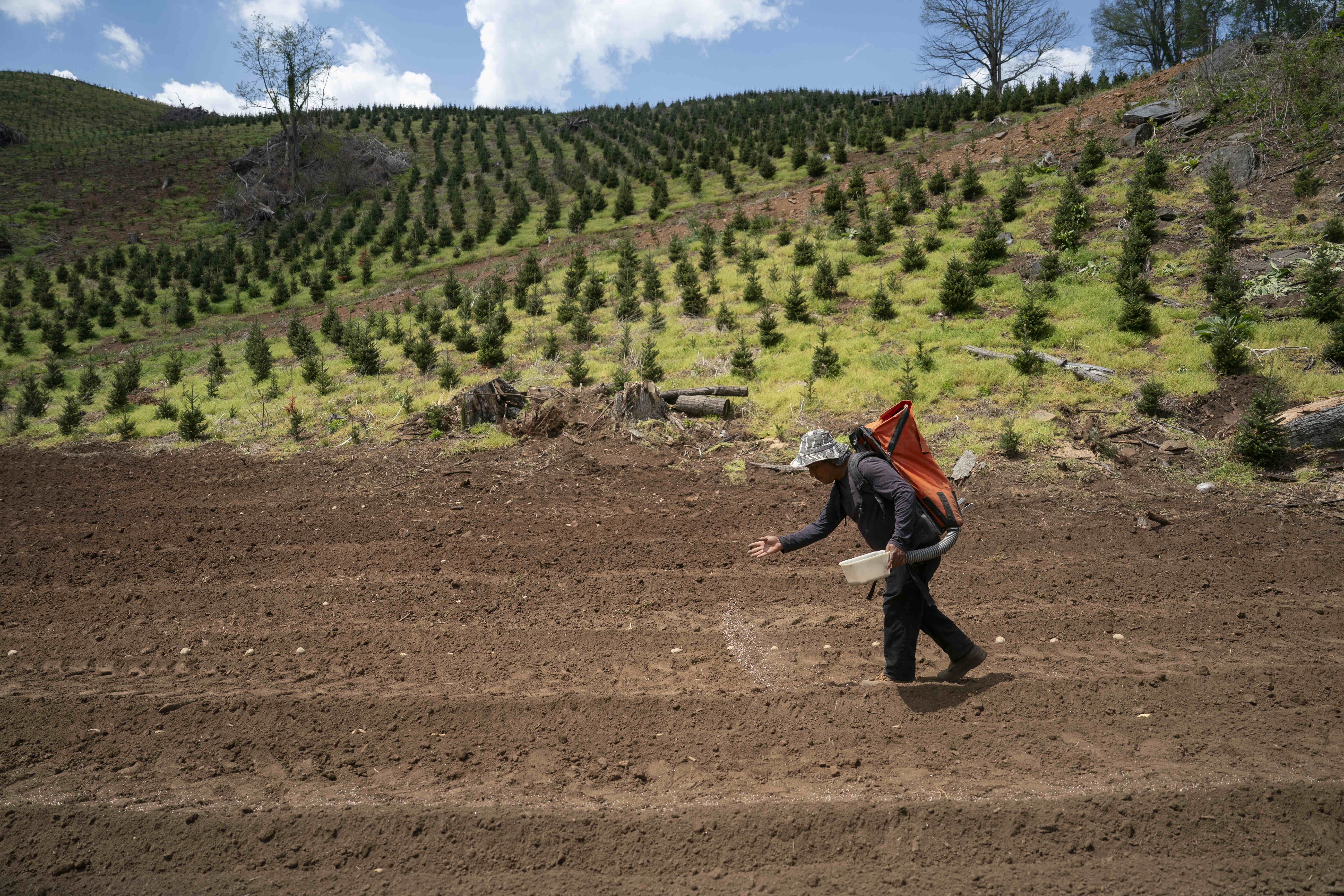 How a fertilizer shortage caused by the Iran war could affect U.S. food prices