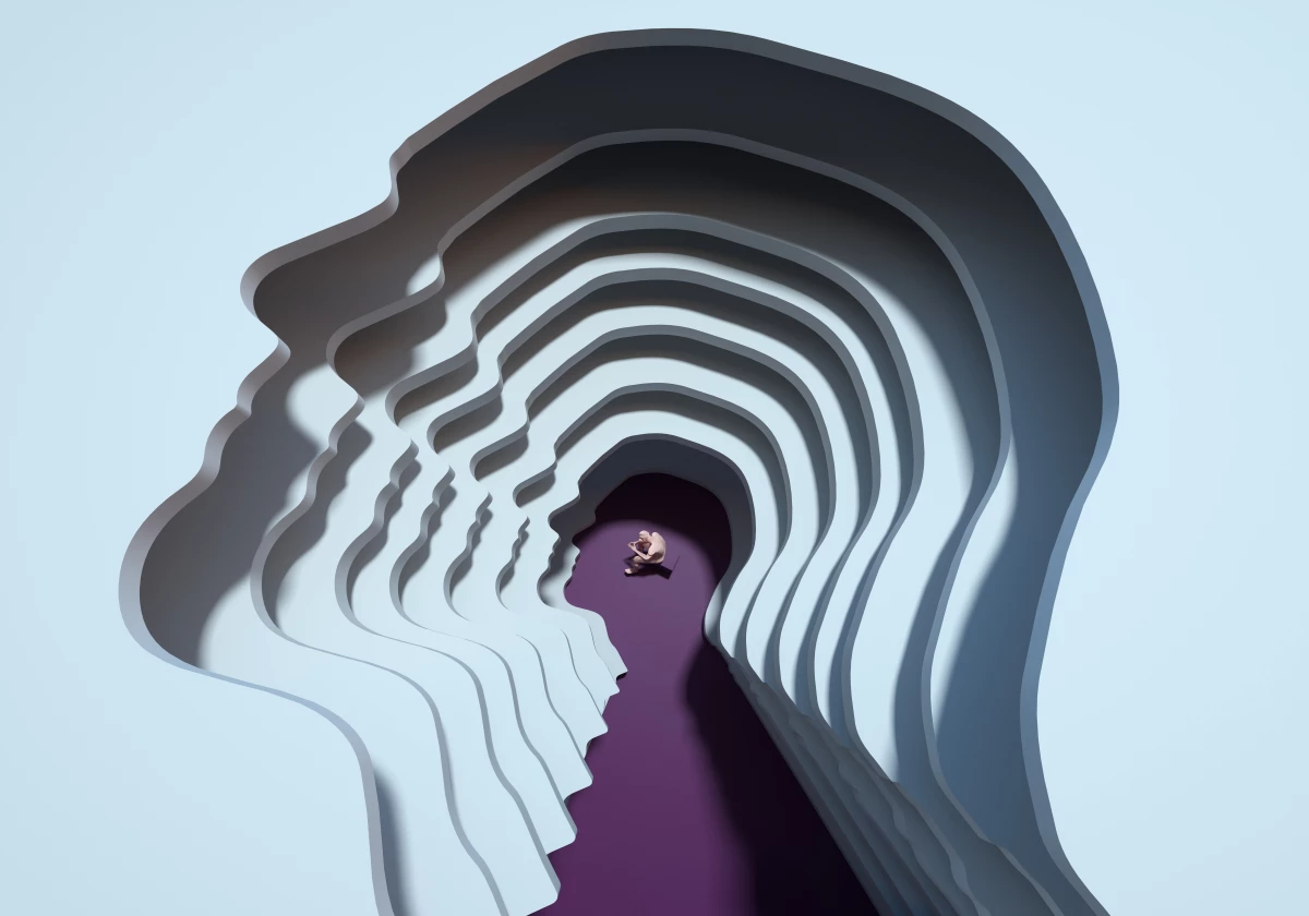 A study of mice and people looks at how the brain takes an experience and responds with an emotion.