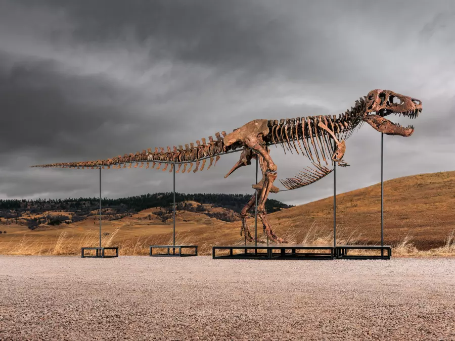 TRex sold