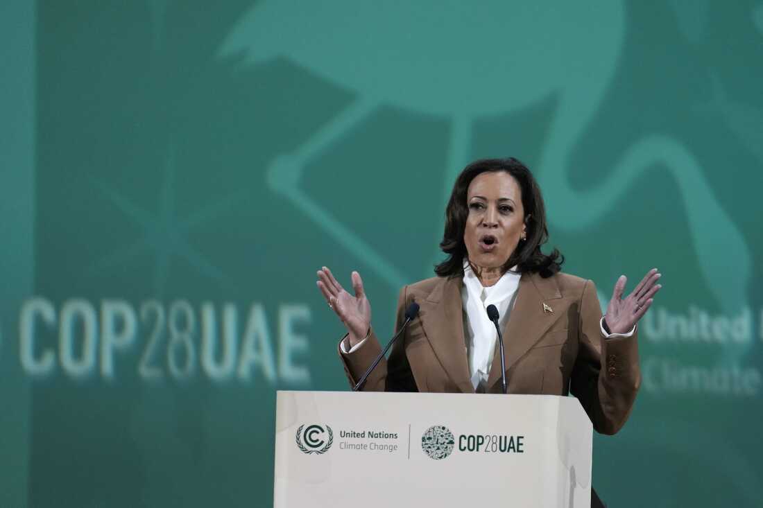 Vice President Kamala Harris speaks at the COP28 U.N. Climate Summit, Saturday, Dec. 2, 2023, in Dubai, United Arab Emirates.
