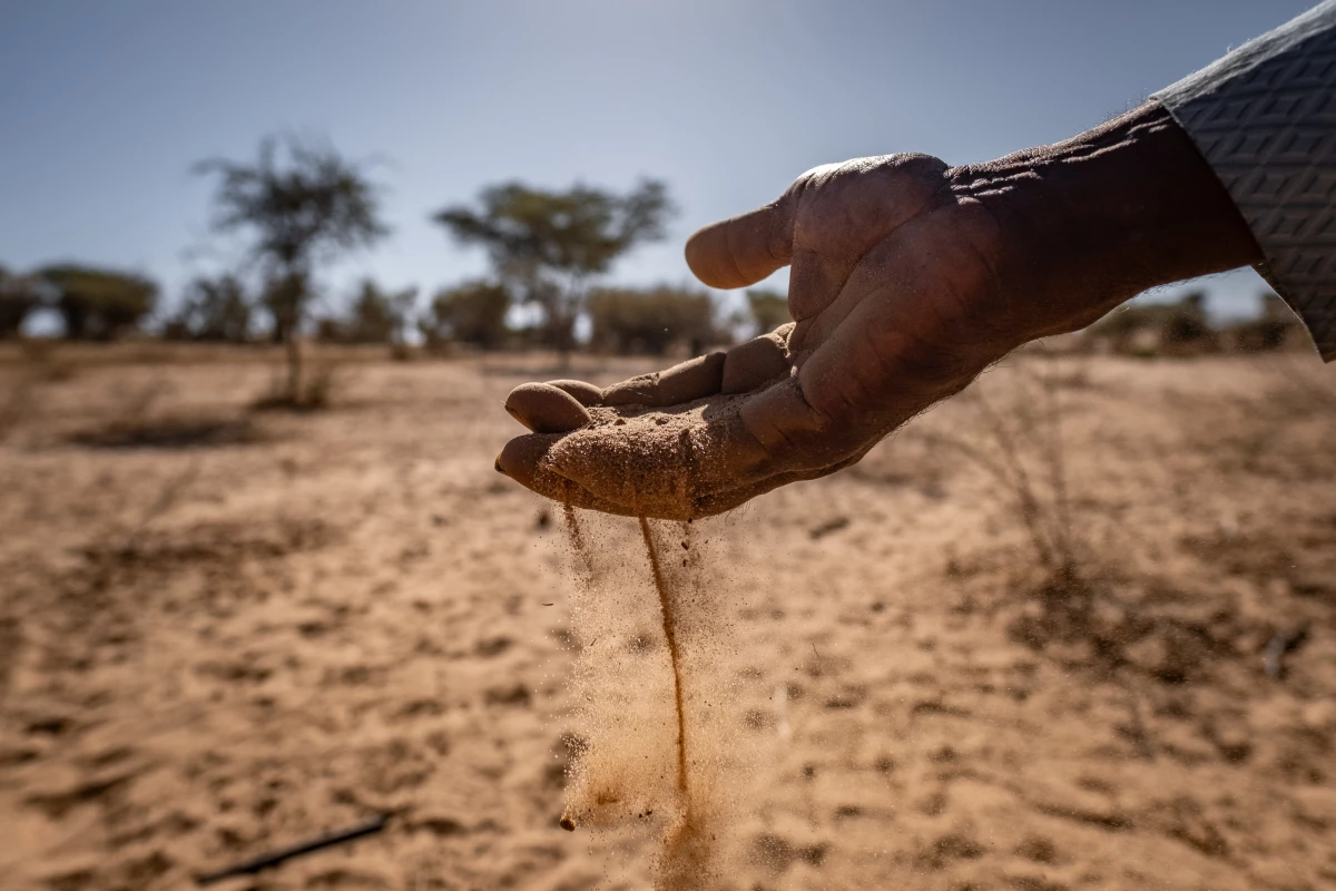 A farmer displays a handful of sandy soil at his field outside Sakal, Senegal. The farm was part of a Great Green Wall project and thrived for a time before falling into disrepair and reverting to desert.