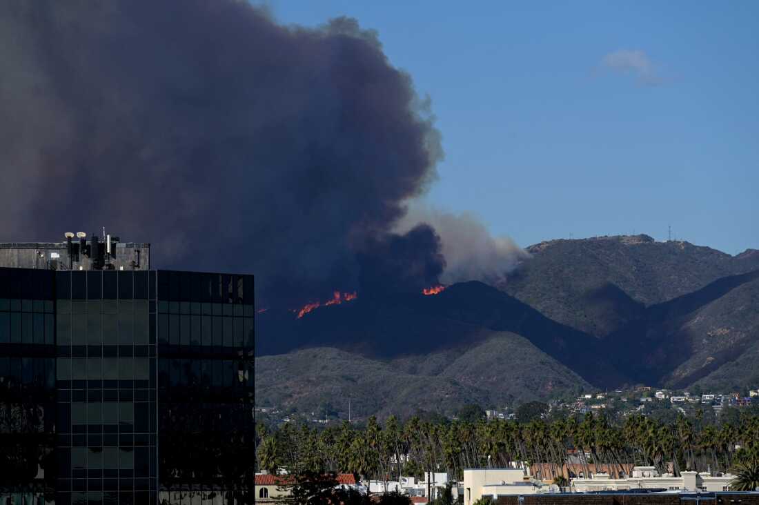 Plumes of smoke are seen as a brush fire burns