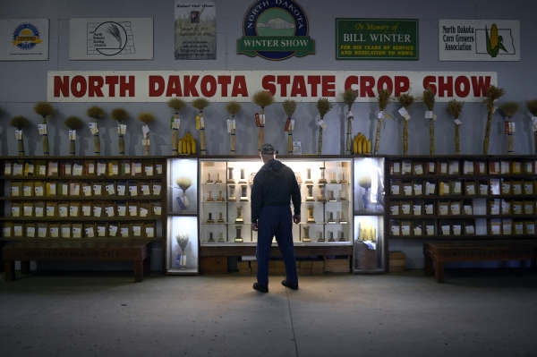 Entries in the annual North Dakota State Crop Show competition on display at the 88th annual Winter Show in Valley City, ND. North Dakota farmers are worried about looming tariffs and a possible trade war with China in the coming months.