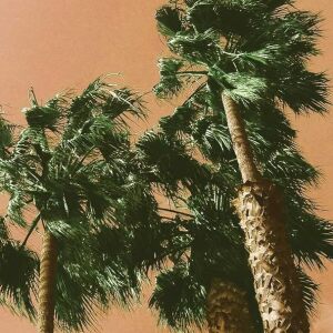 Cover of The Most Wonderful Terrible Person