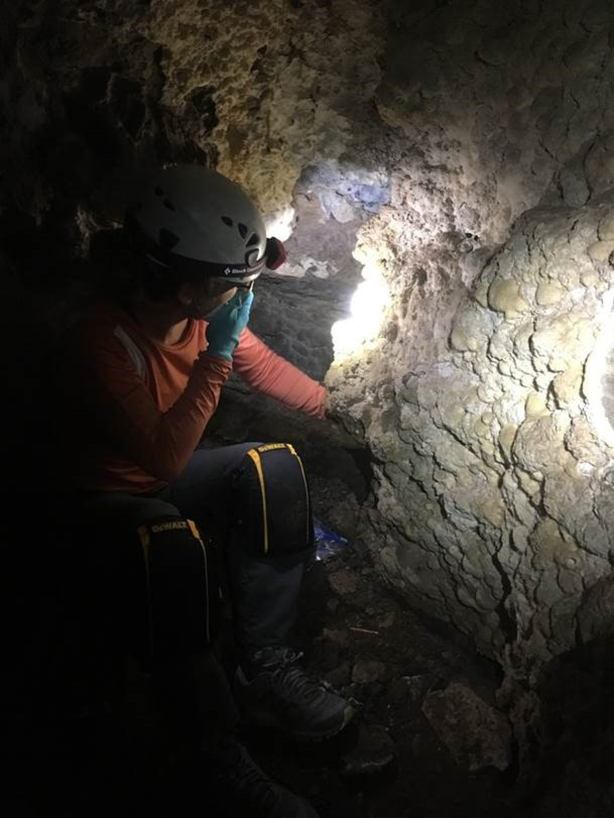 Sarah Wolfe, a member of the cave exploration team, helps collect sediments from one of the caves in Hells Canyon.