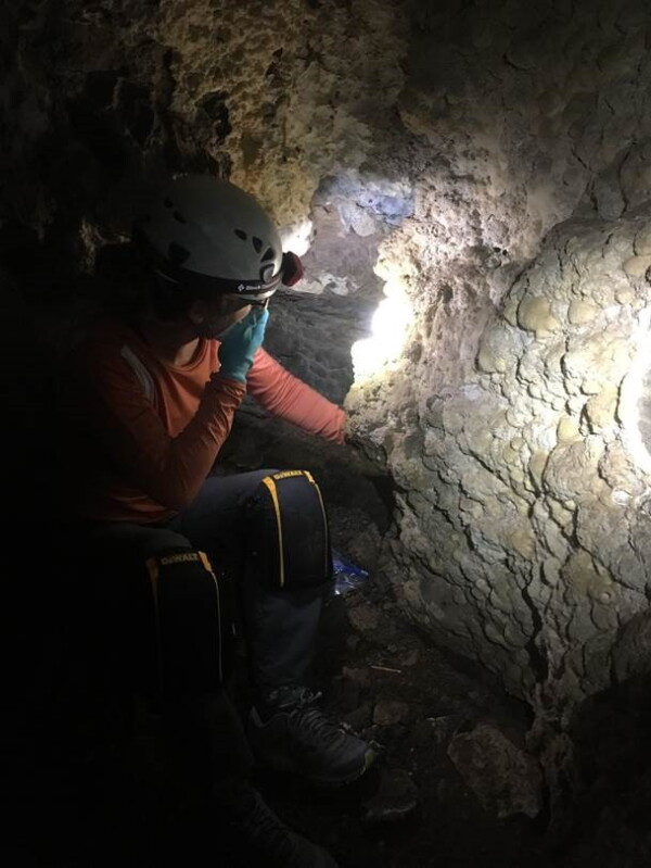 Sarah Wolfe, a member of the cave exploration team, helps collect sediments from one of the caves in Hells Canyon.