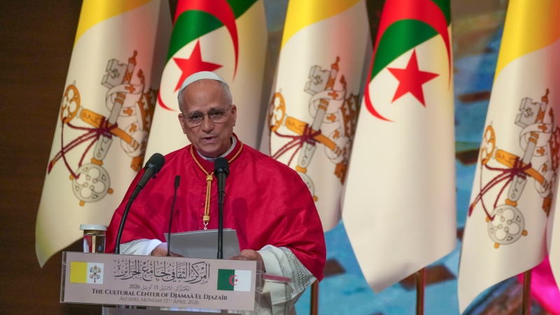 Pope Leo XIV stands at the microphone for his address, with a row of flags behind him. 