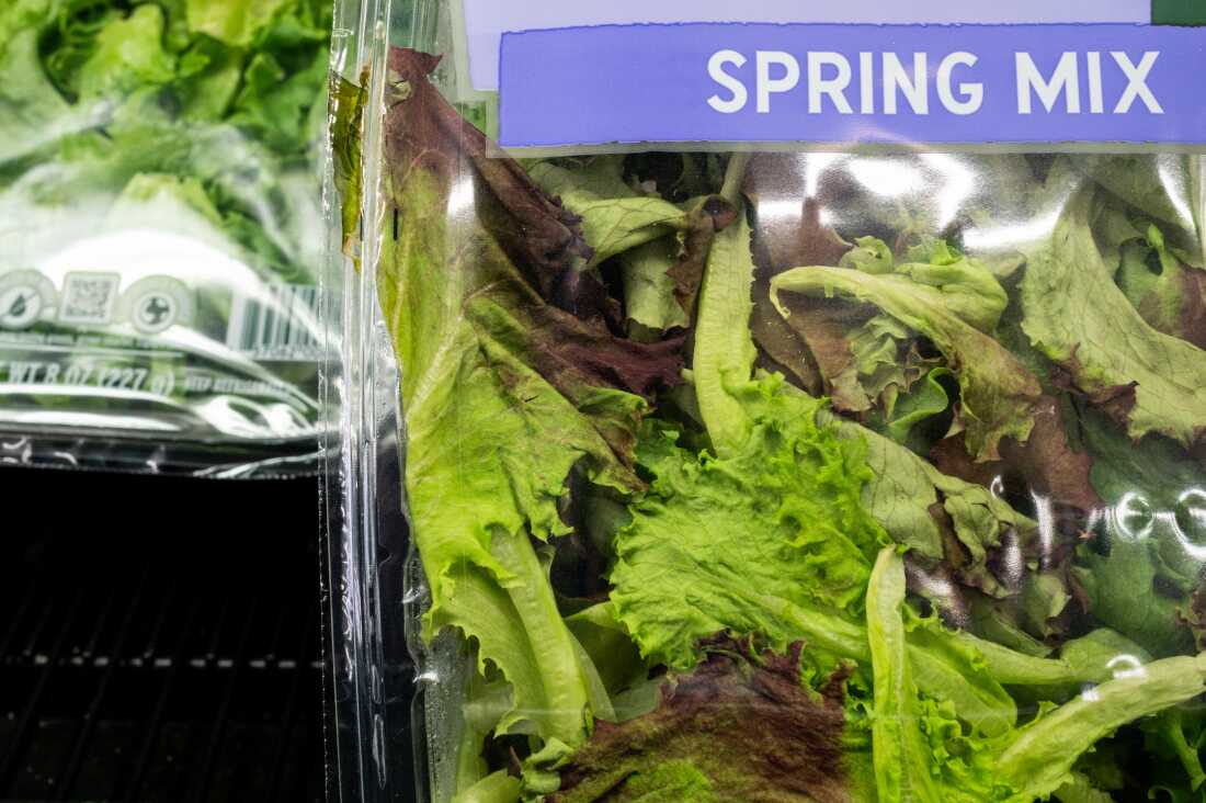 Here's how 'parasite' went from a laughing matter to a serious biological threat Here's how 'parasite' went from a laughing matter to a serious biological threat