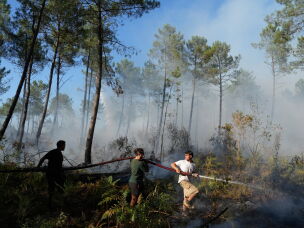 A group hold a firehose and try to suppress a fire near Lacanau, as wildfires rage outside Bordeaux, France, Monday, July 27, 2026.