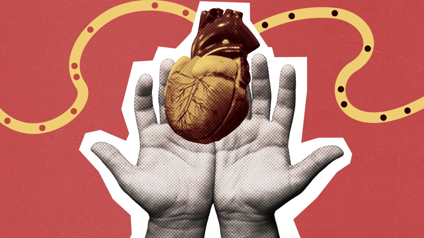 Organ bağışına ilişkin yeni teklif endişe yarattı