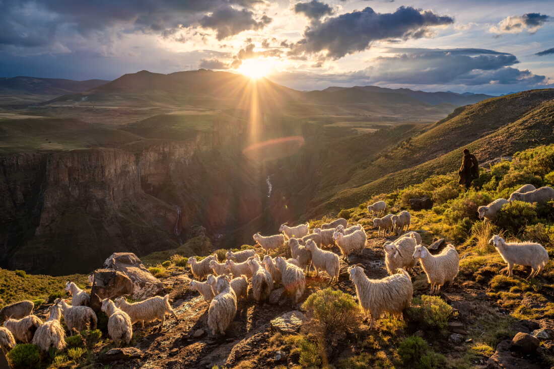 Shepherd Mokoto Masotsa watches over his flock on the edge of a gorge near Semonkong, Lesotho. Like many in Lesotho, Masotsa started herding as a young child and was never able to attend school. It's estimated that around a third of the country's school-age boys are working as shepherds at any one time, often spending months at a time away from their families living in isolated cattle posts in the mountains.