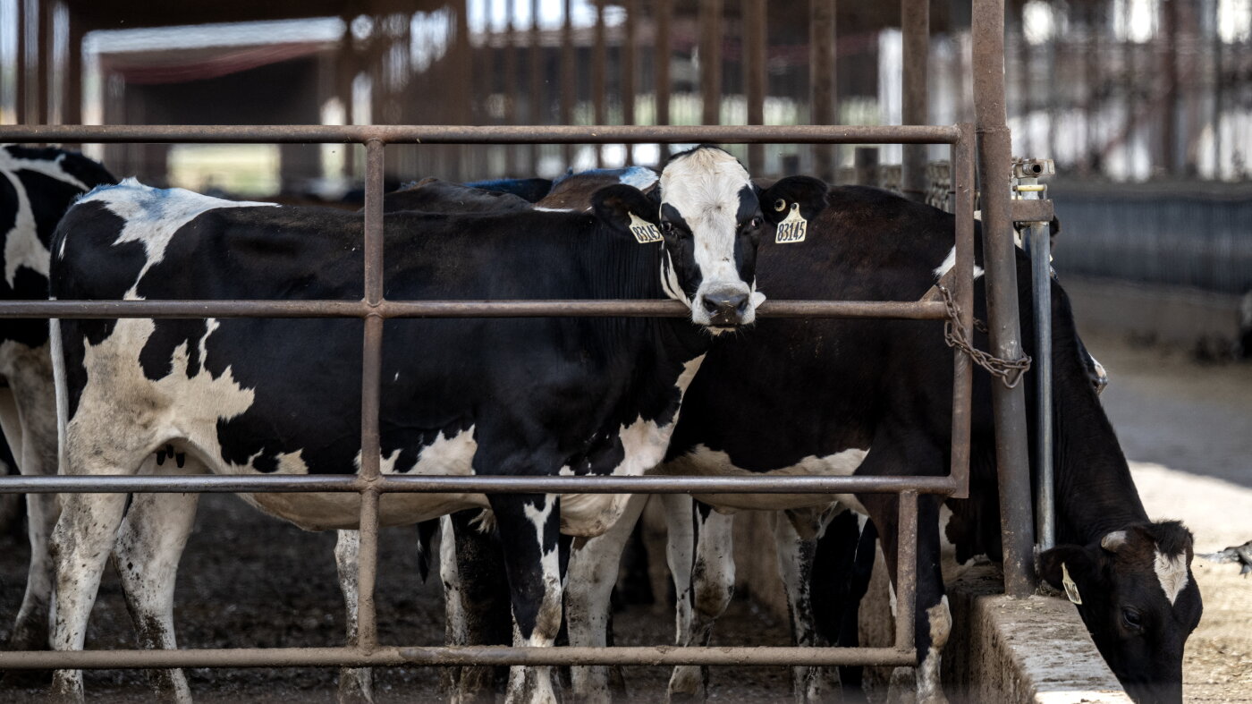 Farm country has beef with Trump as midterms approach