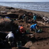 Volunteer excavators and archaeologists, many of them kneeling, search the soil for artifacts at the Nunalleq dig site.